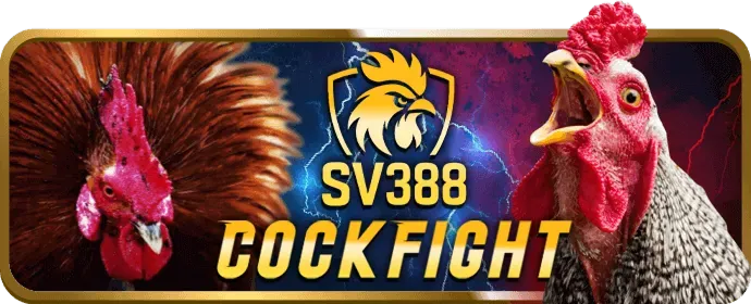 Thành viên VIP Kim Cương của mu88bet win